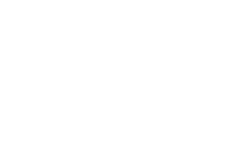 3W