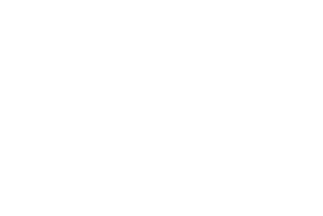 SYNEKTIK